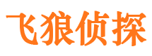 洛扎外遇调查取证